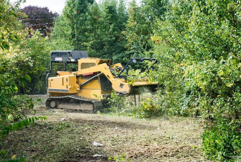 Acreage Clearing in Houston, TX