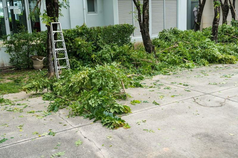 Apple Tree Removal in Pottstown, PA