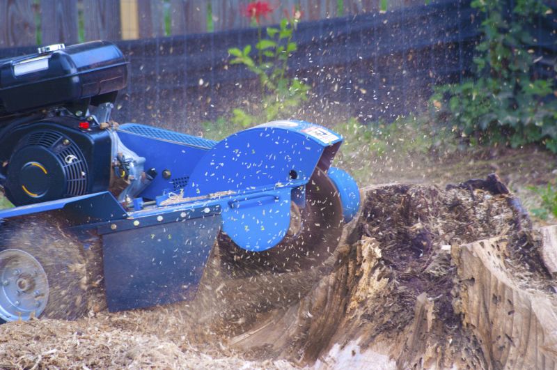 Bush Stump Grinding in Prince Georges County, MD