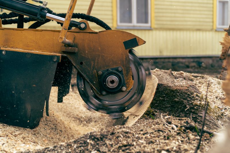 Bush Stump Grinding in Prince Georges County, MD