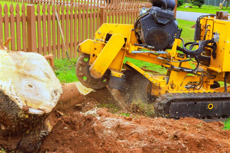 Commercial Stump Grinding in Allentown, PA
