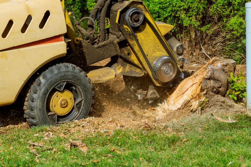 Commercial Stump Grinding in Prince Georges County, MD