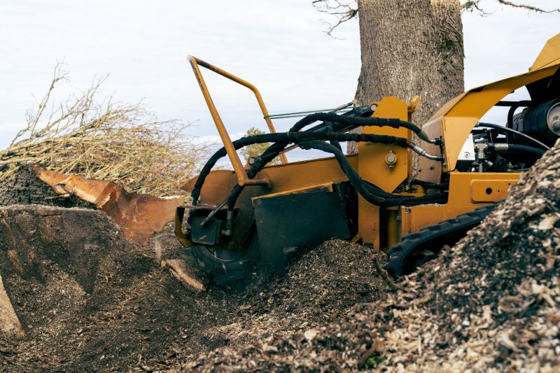 Commercial Stump Grinding in Bucks County, PA
