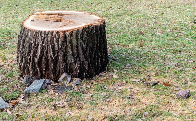 Stump Cutting in Prince Georges County, MD